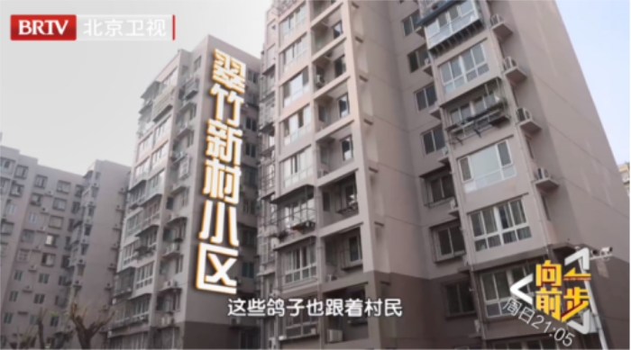 【0608】《向前一步》5月 月度总结稿件1200.png