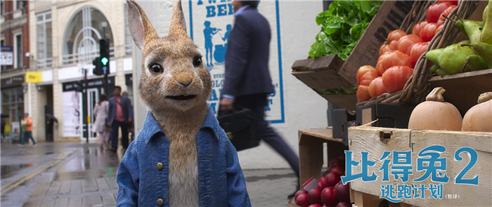 《比得兔2：逃跑计划》曝城市探险预告 超级萌兔开启城市冒险