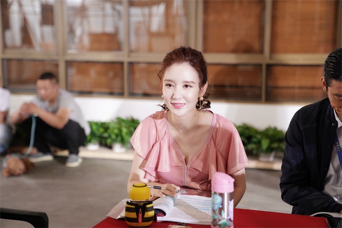 电视剧《安家》收官 张萌专业演技受认可