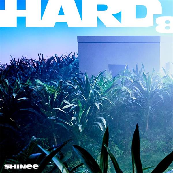 SHINee正规8辑《HARD》图片.jpg